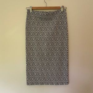 Zara Skirt